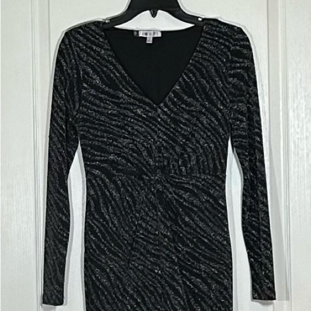 Jennifer Lopez Black and Silver V-Neck Dress